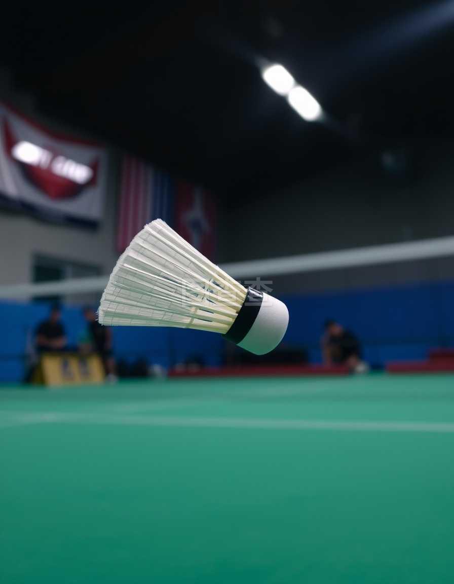 运动员在接 运动员在接