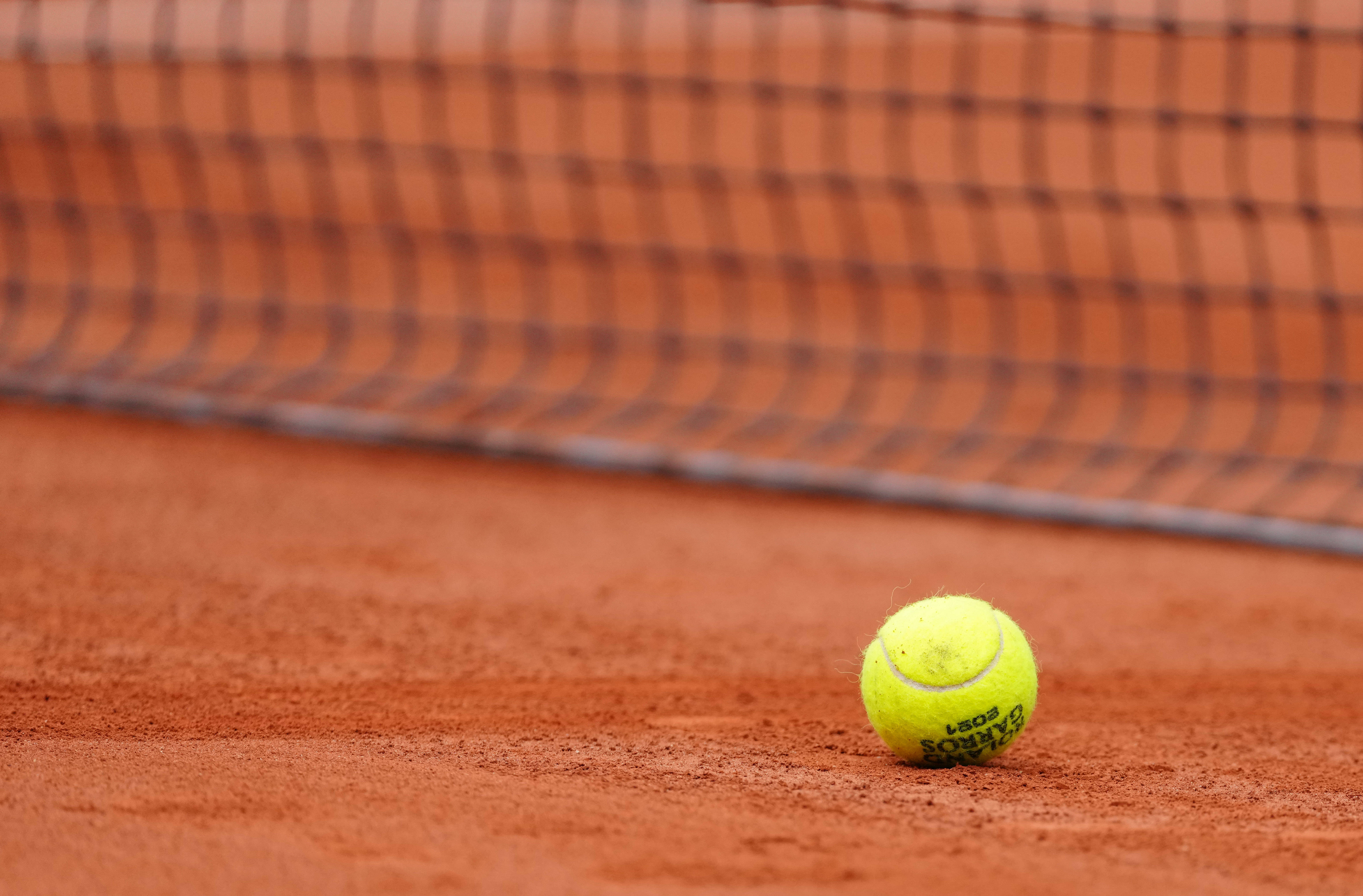 球队增添了 球队增添了