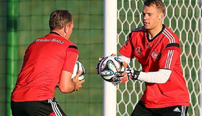 球迷和专家 球迷和专家